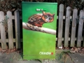 Streetart_Eule_klein_vorne_01